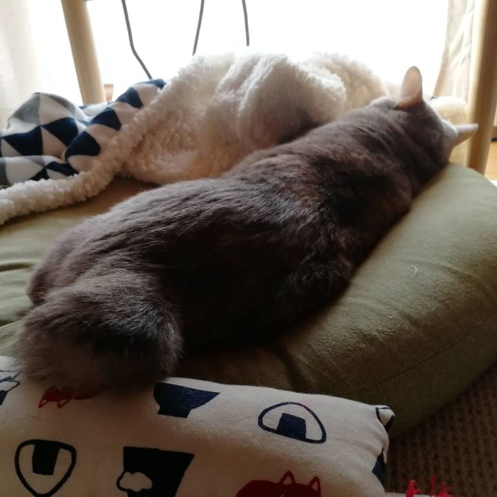 852e25a7 7c4b 4e14 b1ad b2732ec32b7b 1552117802497