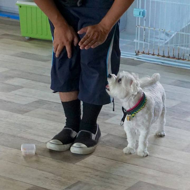 852e37fe a541 4349 80e8 4102944514eb 1565341721585