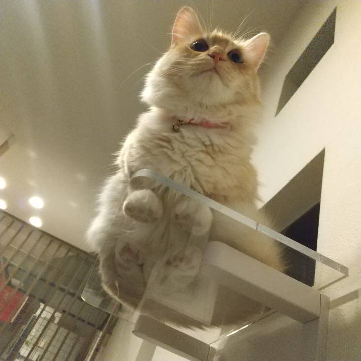 852e4fc3 f853 4f6f b955 89e18cf9930a 1619867522554