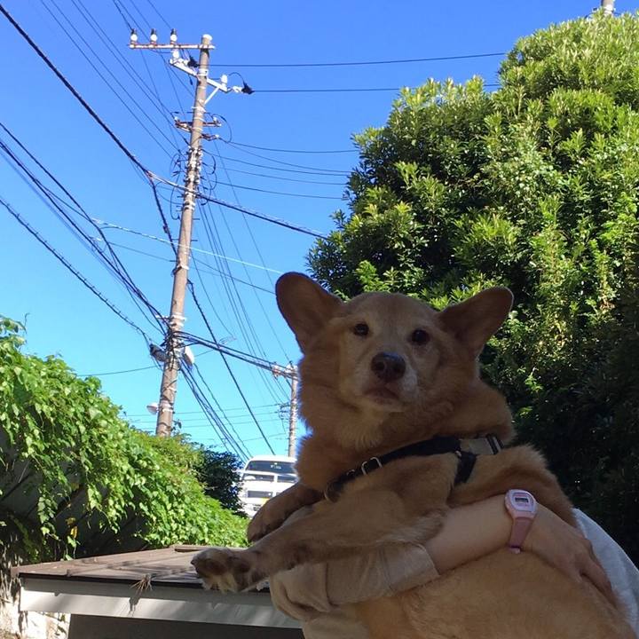 852e5509 e4f6 4170 8359 6271d11786bf 1538109836319