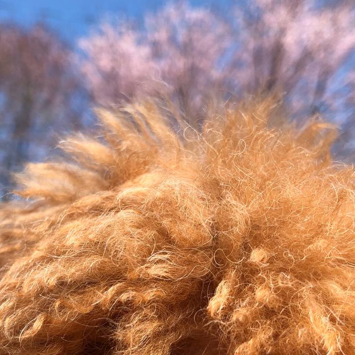 852e6604 cefe 4da4 b245 ac1c33042b45 1555733539468