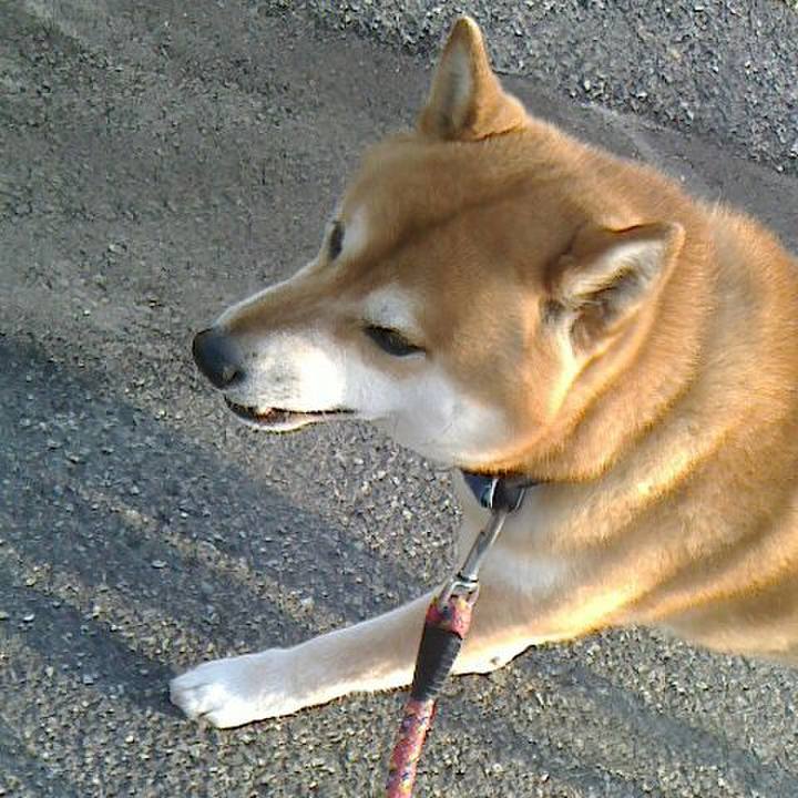 852e7ed8 a3d1 45bc b012 18b981a8331e 1553943046048