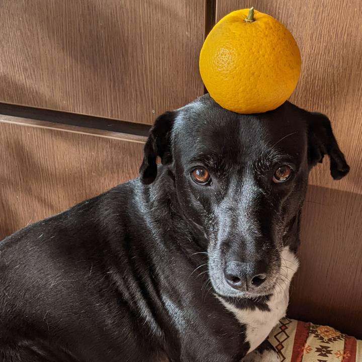 852ec6bf 975b 4693 b555 34842bfa4380 1704538516794