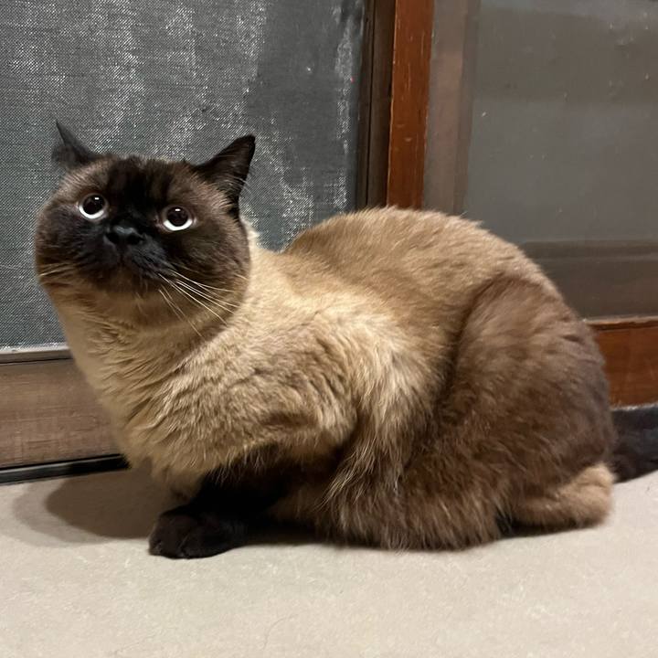 852ef1bc 67e1 453d 81bc 2ad3d40bb7d6 1687347358728