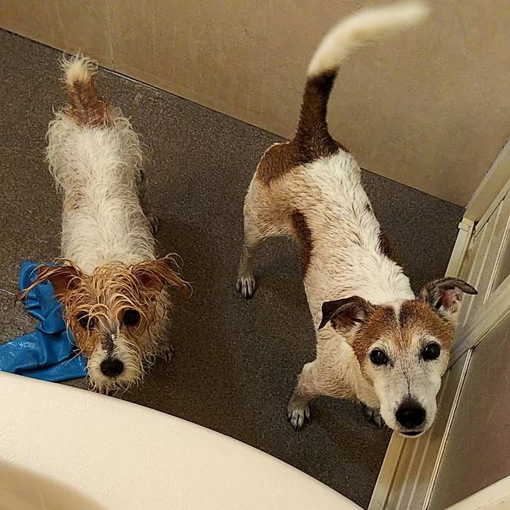 852f0809 1b46 4f63 966e d5f584590f7c 1580641977920