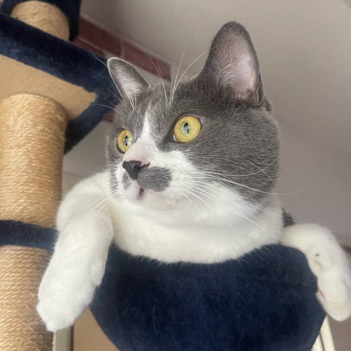 852f549d 70a7 4071 9431 4dd721abc4f9 1729207176043