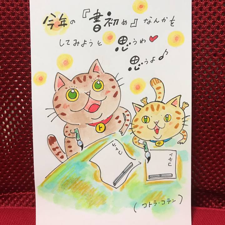 852f74e2 580f 4703 bd77 a4c8769fd49b 1546623471893