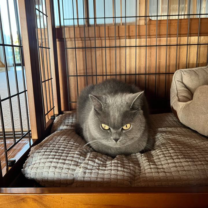 852f7eef 338e 4880 98fe 88140503bb3e 1636777047762