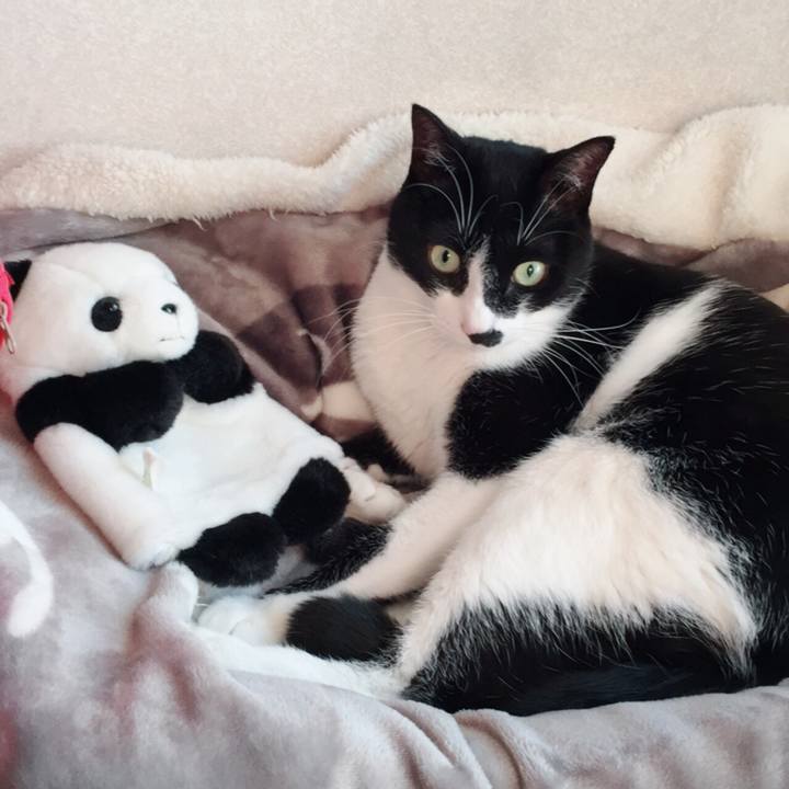 852f9df7 aabb 4019 94ec ddbd848815e4 1514299667920