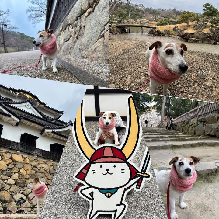 852fc7ac 8941 46a9 946c abb808158687 1774183579606