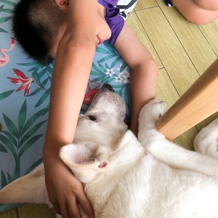 852ff4b1 cffd 4f85 8ebd 943c4d115ead 1561265808721