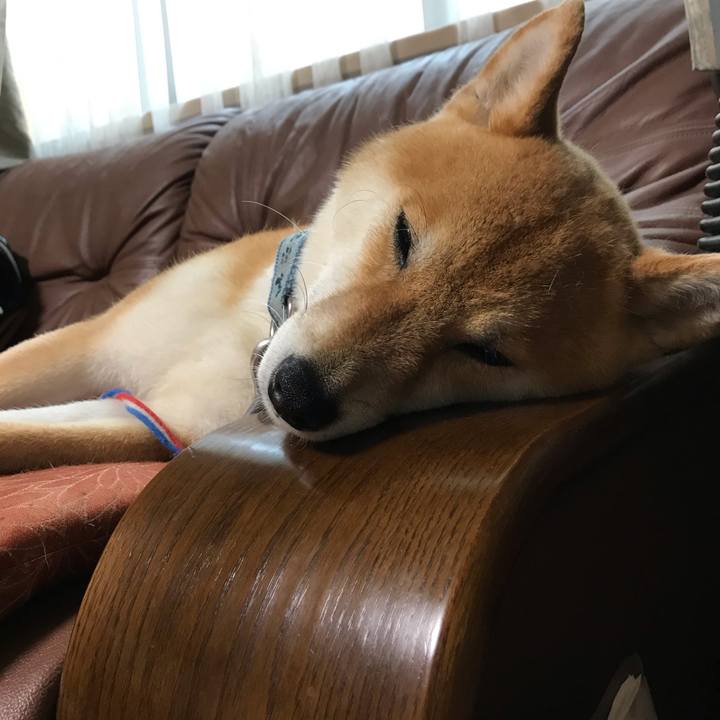 853001af de09 4b7d a3f8 84be6c1a668a 1592024328948