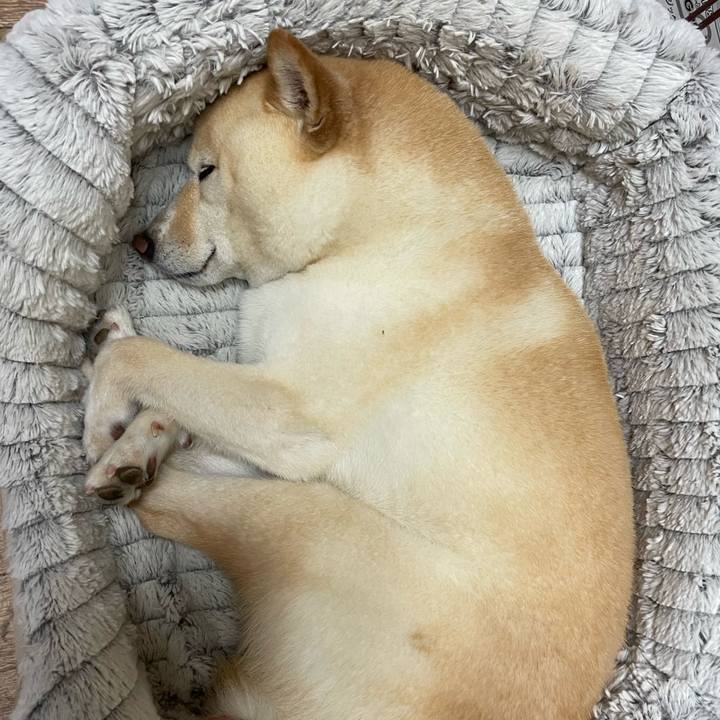 85300d07 fe04 4ffe ae05 67beb330b685 1659531720865