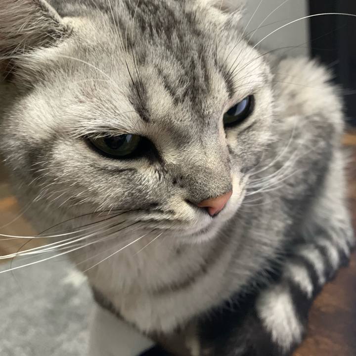 853010dd 58ed 47ed 87a9 d473d038eaad 1642509509225