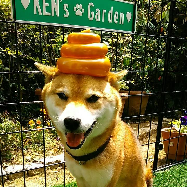 8530361a 28a3 4486 be92 0c39b338f72c 1558239810132