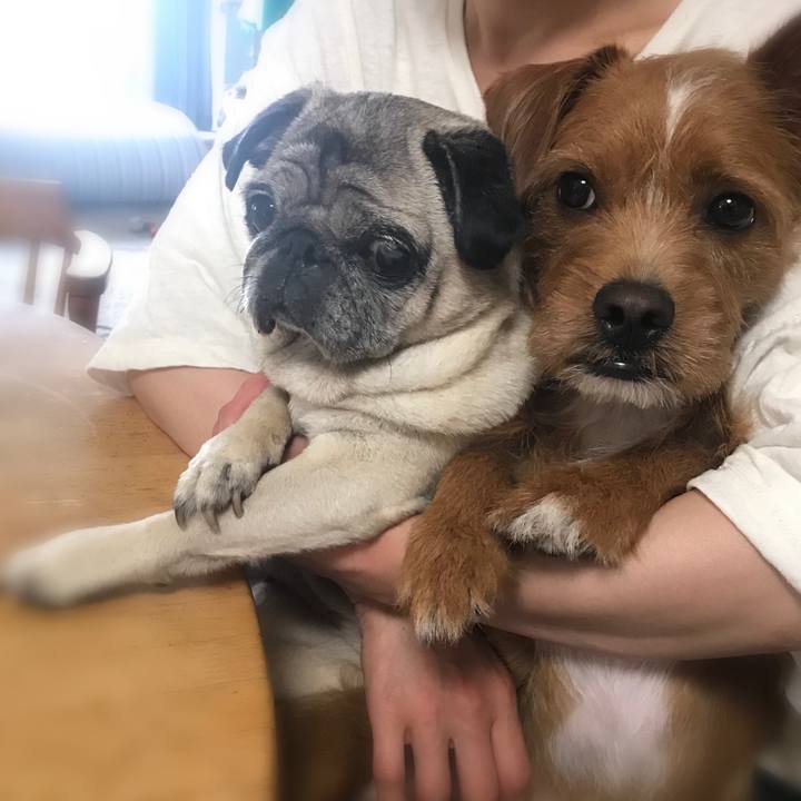 8530367a 49f0 4f21 87d3 82dcb79eede4 1562802847701