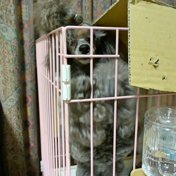 85303b95 f05f 406c 8bcc a65b6d1a722c 1520998924977