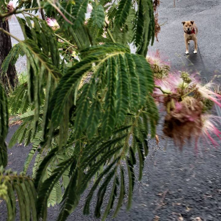 853060d7 76a2 4355 89bc 338f79a33d5a 1720444027911