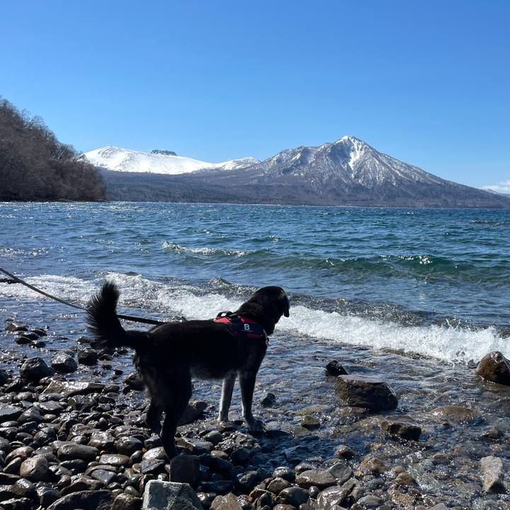 853071a0 fb97 49dc a88d 1bf66878b5fc 1775618989791