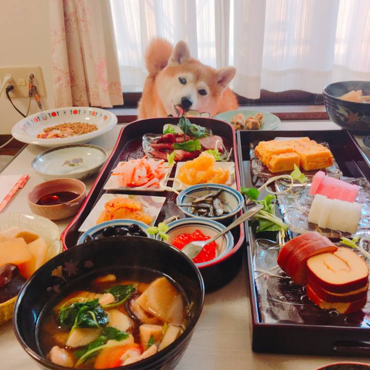 8530807f 092c 476b 909a 72cb39cdf87f 1546320582396