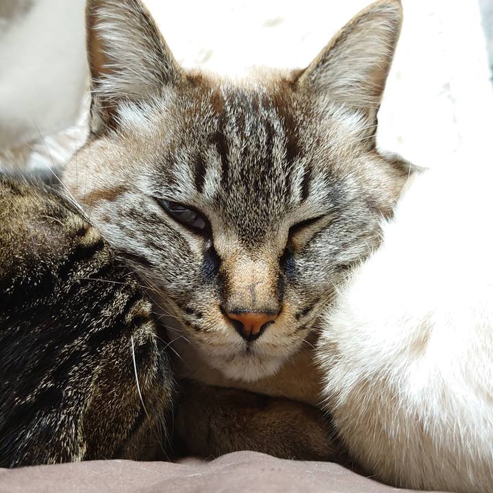 8530824a 77d6 4af3 ac22 5c875b5ee39a 1643986453929