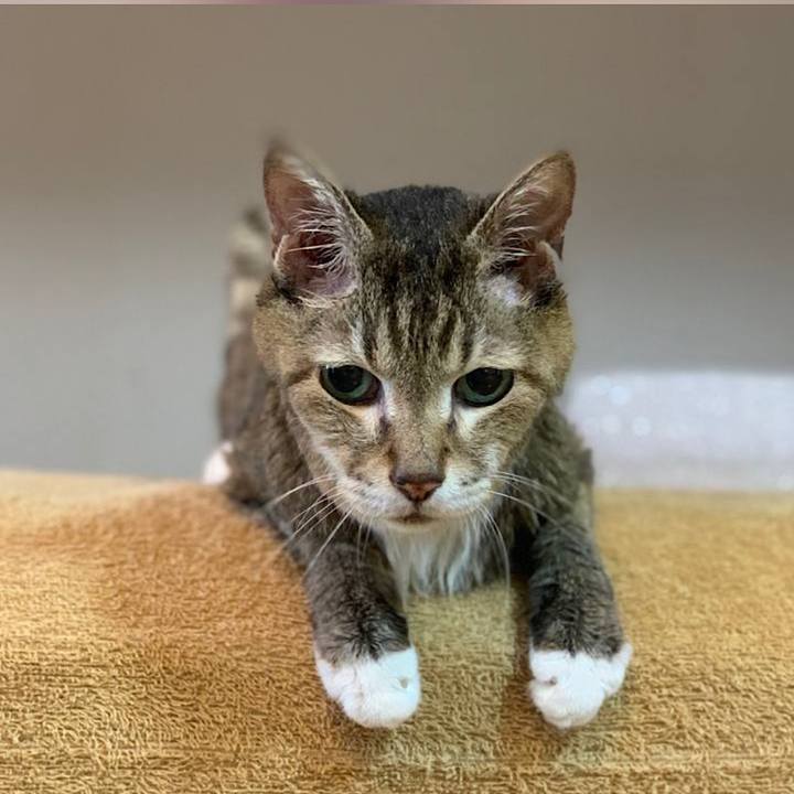 853083b4 844f 429c aca8 bdc418925897 1693974432048