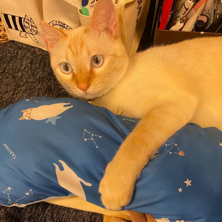 85308547 bf93 462f 9cc9 c65087540ac6 1623215677634