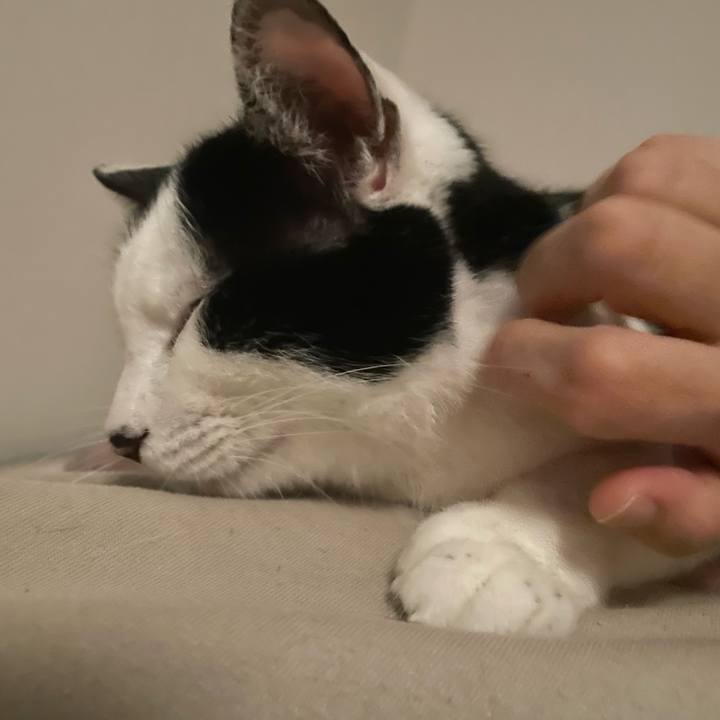 8530901e 5c79 4411 81f3 d6bde51c5bfe 1674310608095