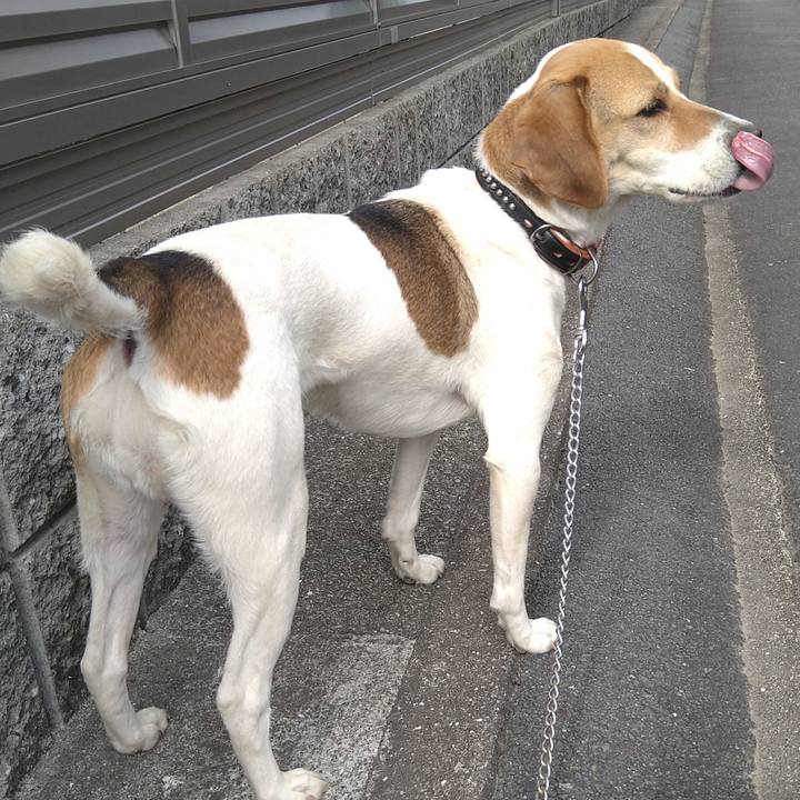 853092b7 84af 4993 b807 61ad565b46a9 1644327537274