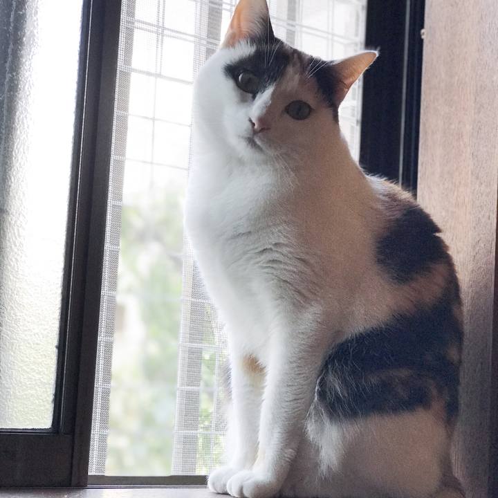 8530a134 696e 4c23 80eb 53612f5e942b 1523066036545