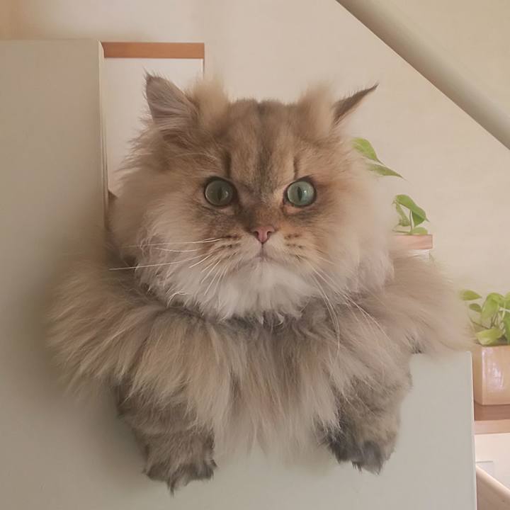 853113aa 6290 4f52 a135 10ea69e84209 1580877351344