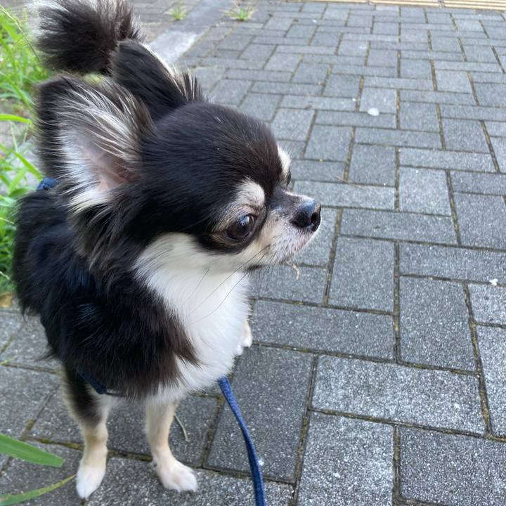 85312145 08bc 4430 a81f 8b9b32d9a648 1627795690275