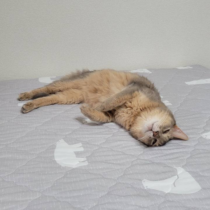 853136ec faa2 4136 84b9 8f7a6056f62e 1694239255630