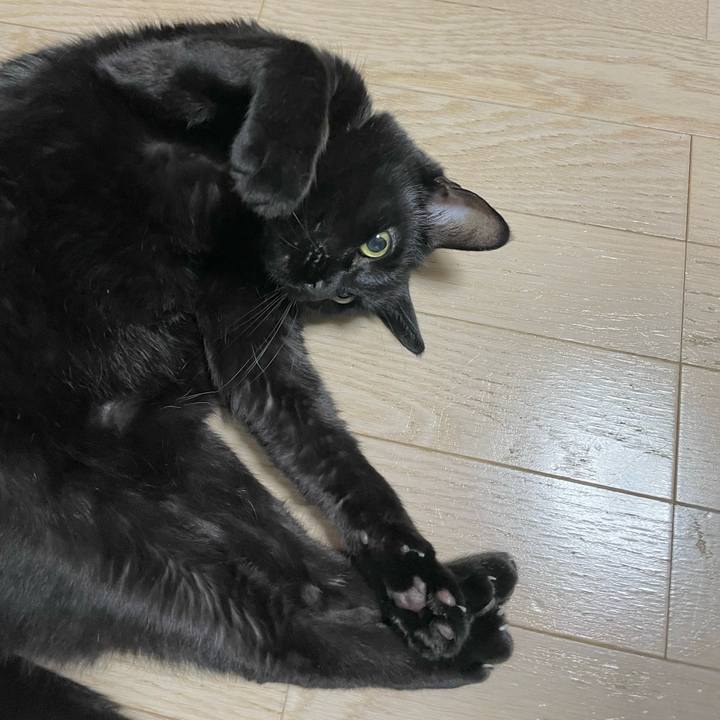 8531632d 916a 404b 8052 2c0d725bd934 1646919029142