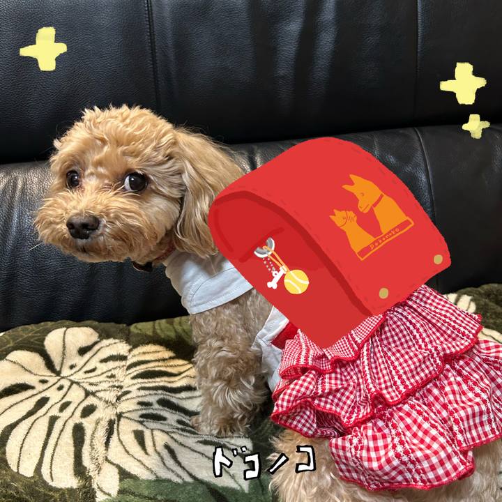 853176bf 6bc4 4557 9cfd 68a3d4a6dbb5 1744538366434