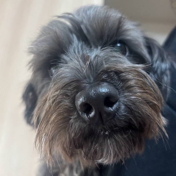 8531a260 0fba 4152 b3f5 7b7e836c10de 1764164348837