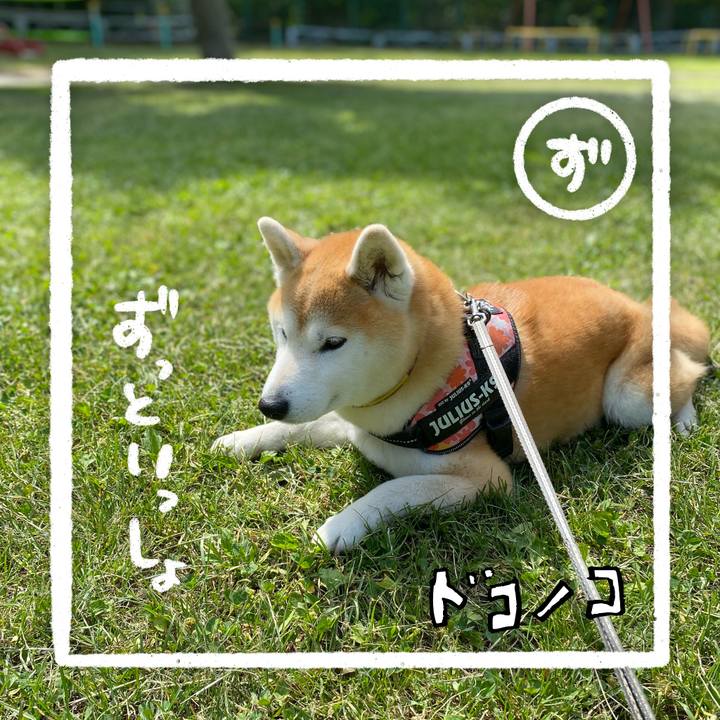 8531bcec 4d25 4922 9622 1113ec6123ab 1685956694884