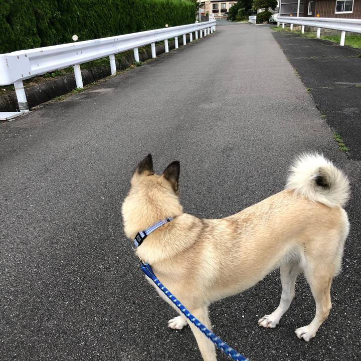 8531cb99 00dd 4ed3 912e acdcf9adb0cb 1530187723011