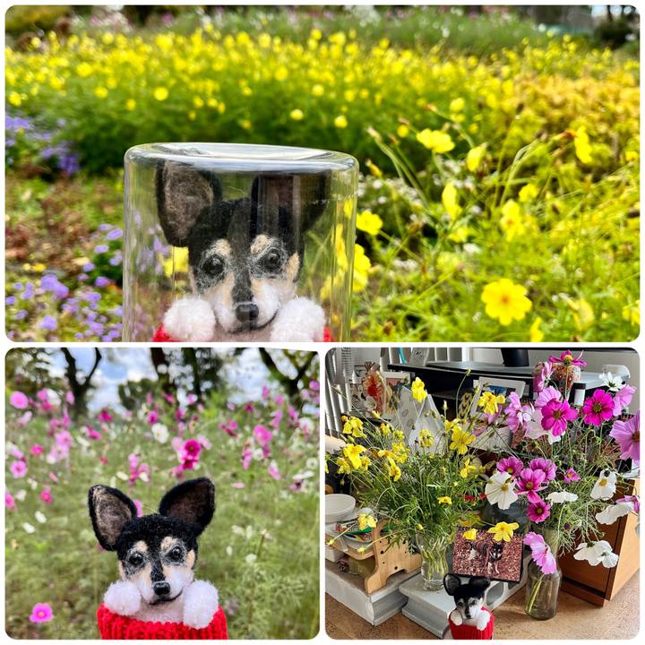 8531cc2d 6bc4 4882 a12b 8bb2085efefb 1668910948285