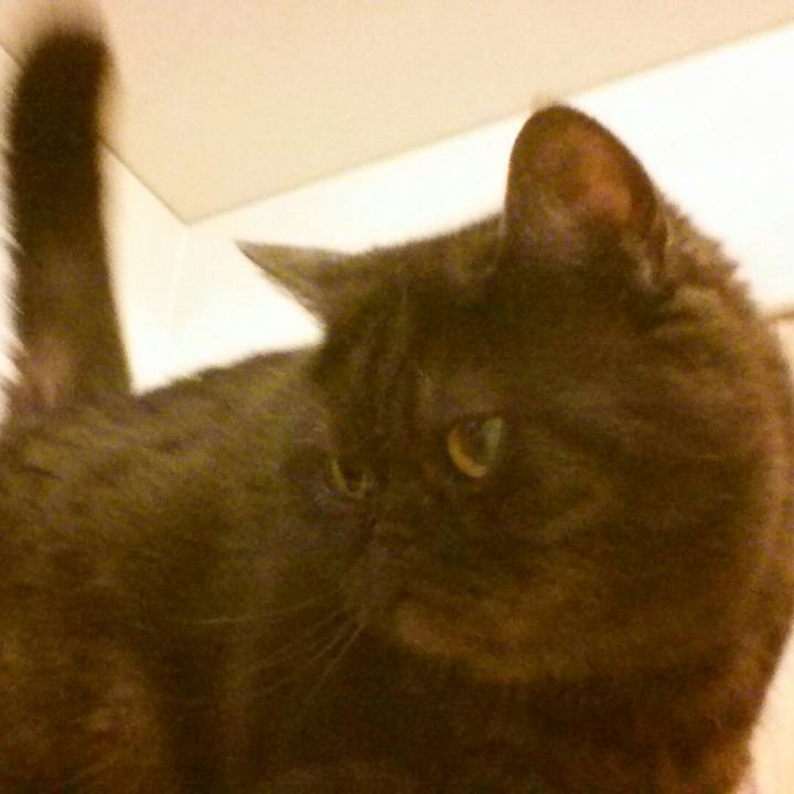 8531eb74 2d76 487e 9d3f 272c0e14d186 1558782895382