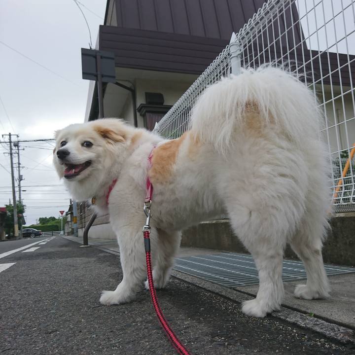 8531f1a0 4918 4781 aa1d a719637bde49 1529529972289