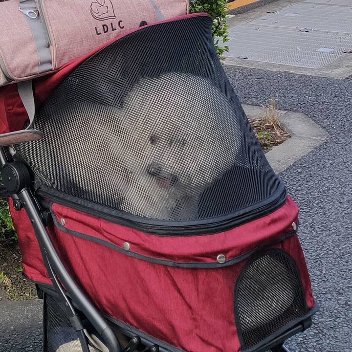 8531f9db 0f3a 45e6 b7de fb7f4bbf8b34 1765670968528