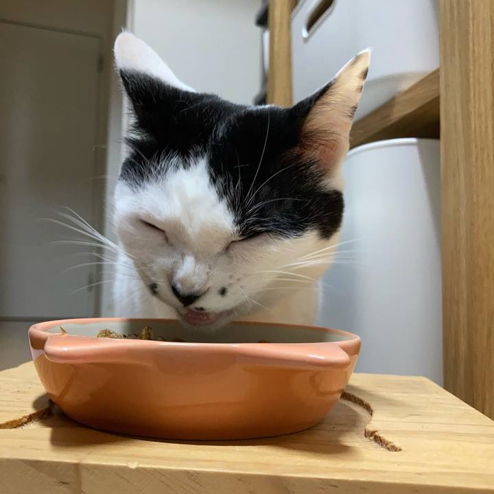 853209bc 9571 42c4 8fed c2477d89c79d 1759610431842