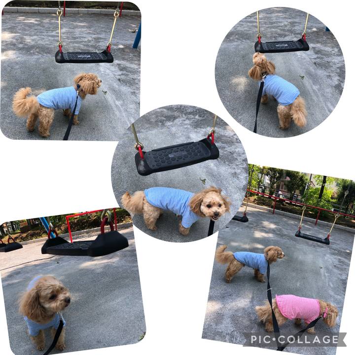 85321180 f0a3 4adc 89eb 41d44479e42e 1682912882559