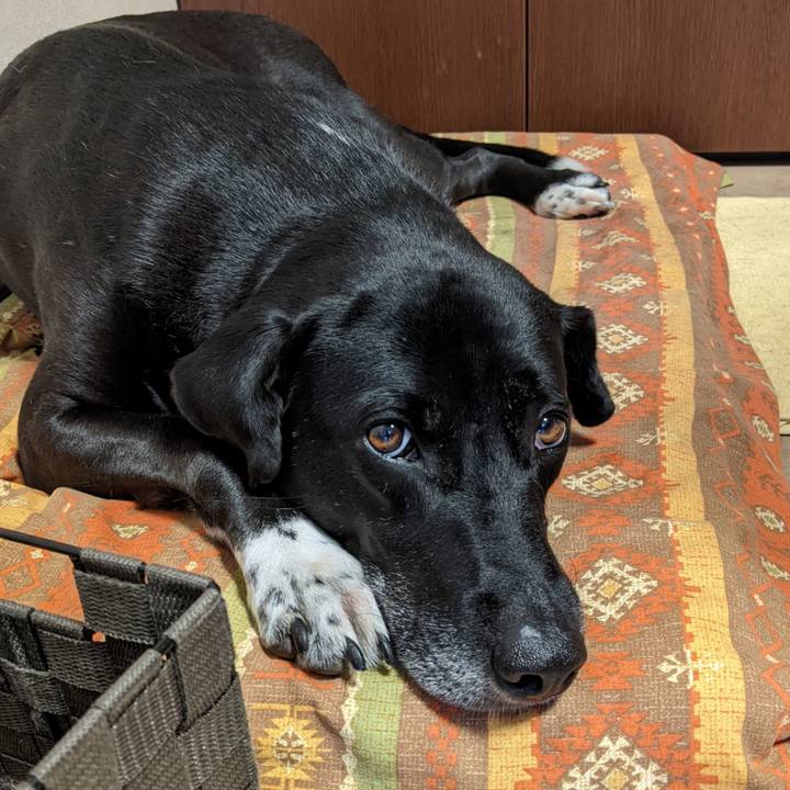 85322e9d 5b91 4faa 9617 f8ee31011018 1656889328180