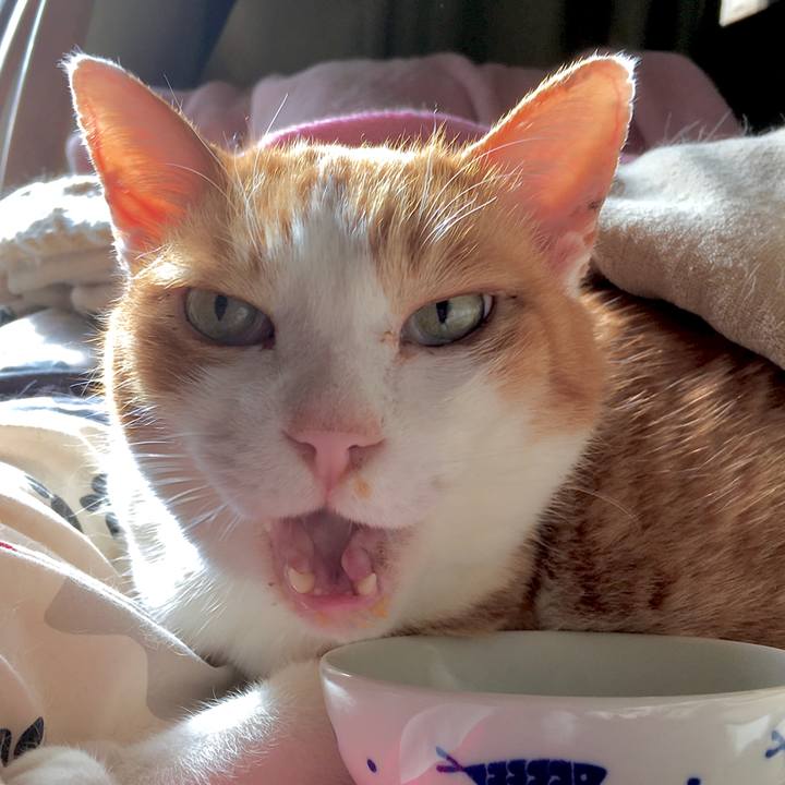 85324cec b06e 4f1a bdae ad2c60c7d0f0 1580473101170