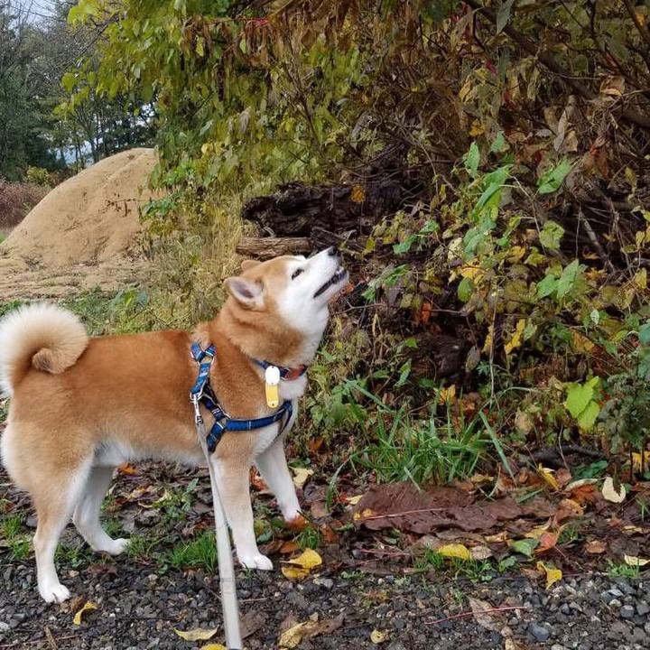 85325c2d 7bf0 4f4c b2ac 0fd5a6853781 1541487277941