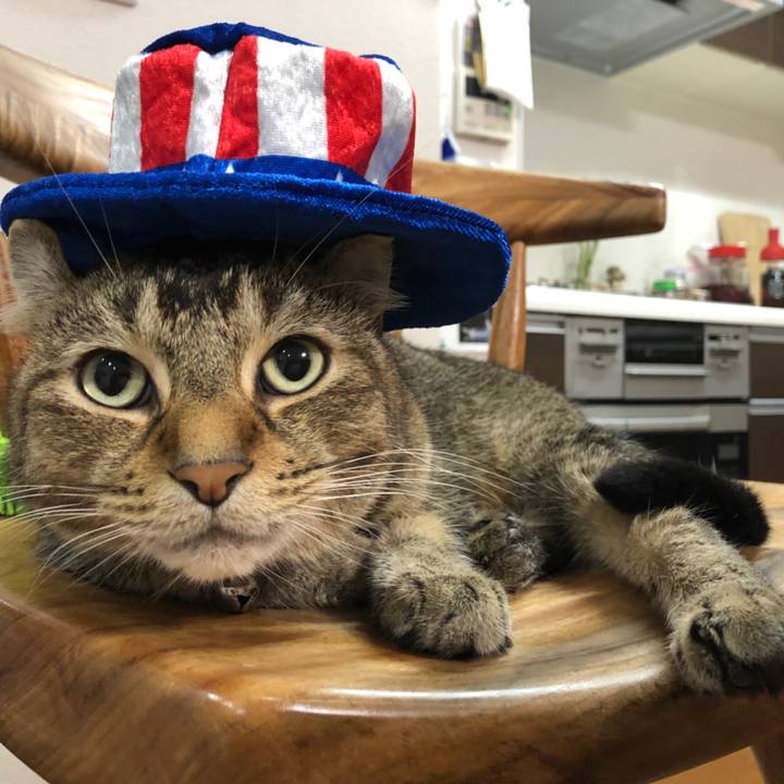 85326ab1 55d0 48a4 92fa f2106ebddb26 1537062600465