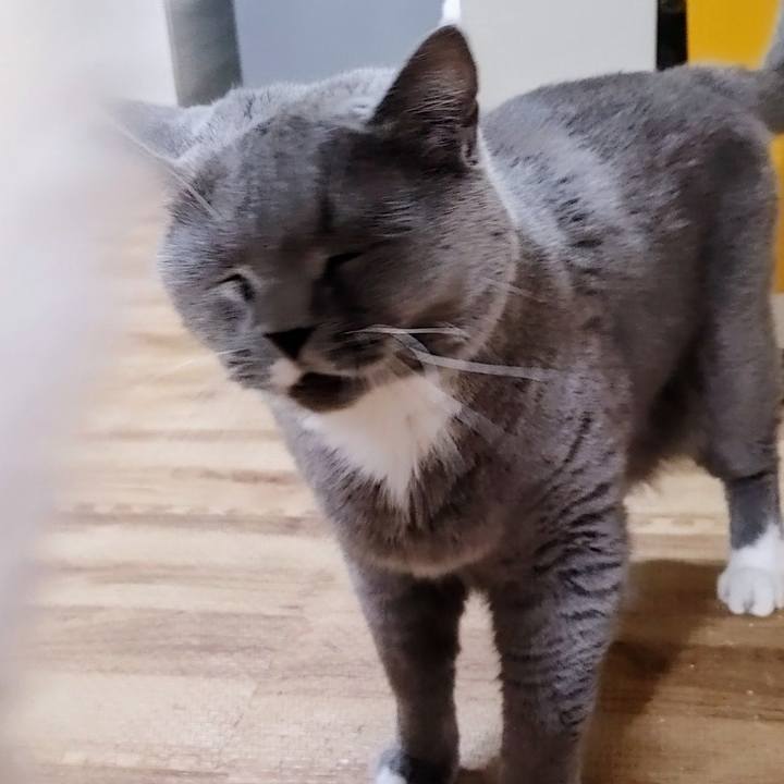 85327020 5661 4d22 89fa 1876406d2643 1727514789922