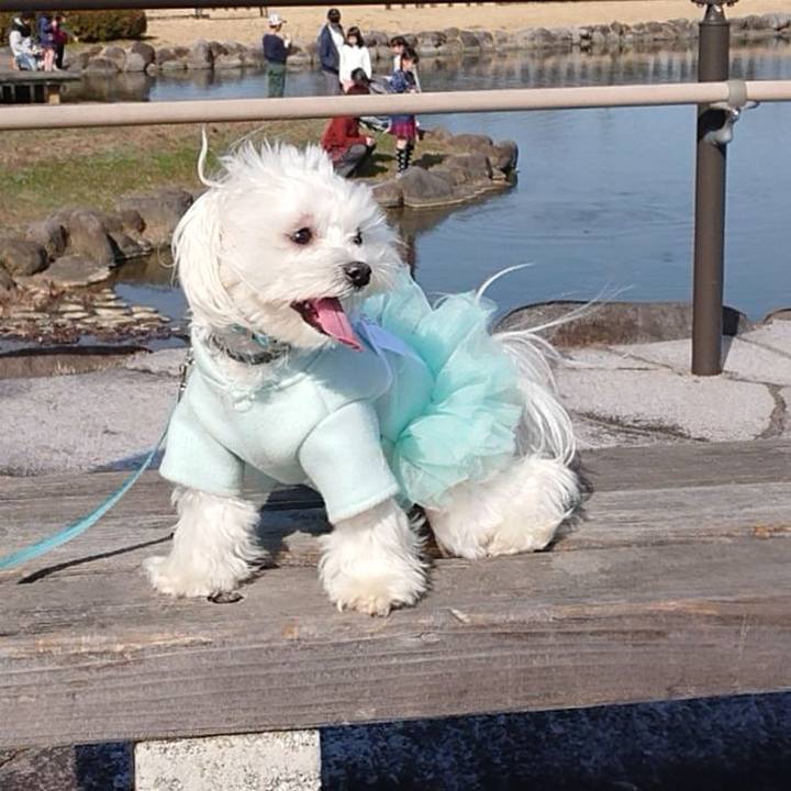 85328aa6 5be2 47e2 a4bc cddc1a4afbd7 1583648752091